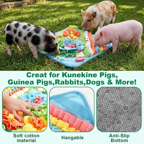 حصيرة Novabright Piggy Snuffle مقاس 15.75 × 15.75 بوصة، وسادة علف ملونة لألعاب إثراء الخنازير مع ظهر مانع للانزلاق، حصيرة استنشاق لخنازير غينيا والأرانب والكلاب، سهلة التنظيف in Kuwait