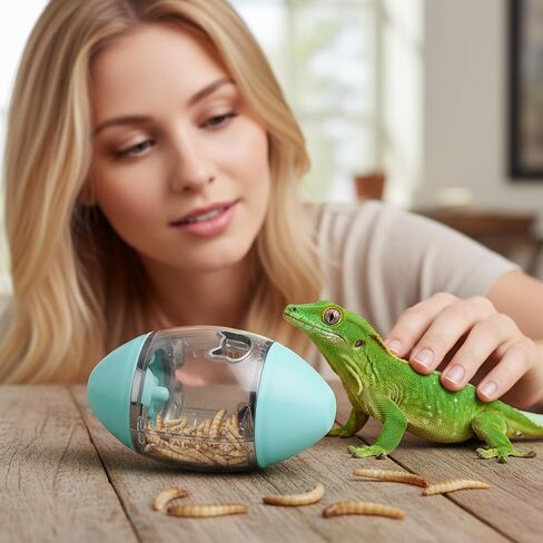 Bearded Dragon Toys Interactive Lizard Feeder Toys Rugby Shape Gecko Feeder Ball for Bearded Dragon Enrichment Gecko Small Animals Enrichment Accessories in Kuwait