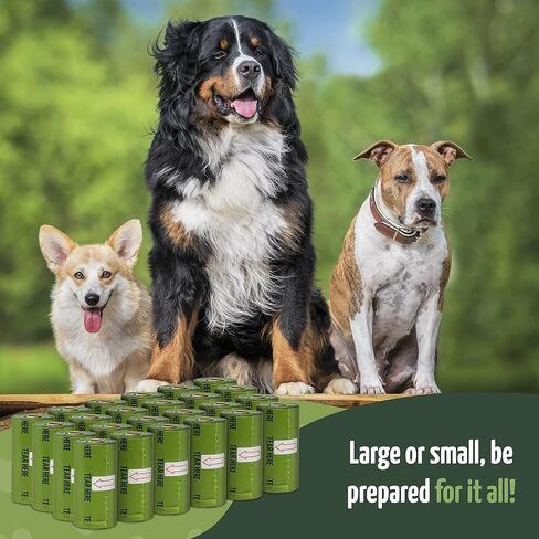 Reli. Biodegradable Dog Poop Bags Rolls (600 Pack, 40 Rolls) | 9"x13" Oxodegradable | Large Dog Poop Bags | Unscented, Leak Proof for Doggie/Pet Waste | Green Eco-Friendly | w/Leash Clip Holder in Kuwait
