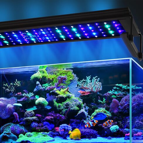 24W LED Saltwater Aquarium Light, Marine Led for Coral with White, Blue, Cyan, UV Violet LEDs Dimmer Timer for SPS/LPS Corals Fish Tanks(12-18in) in Kuwait