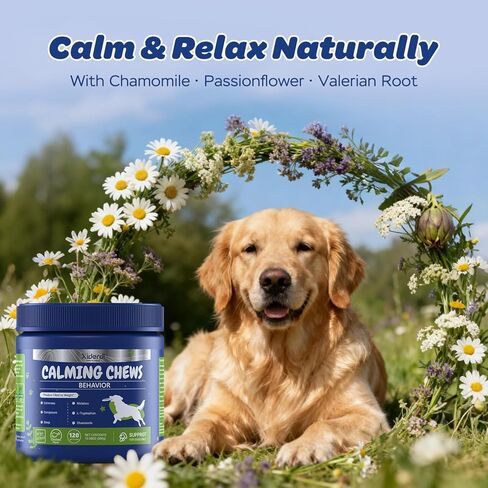 Calming Chews for Dogs – Relaxation & Stress Support with Chamomile, Valerian Root, L-Theanine, Passionflower & Ashwagandha – Calming Support with Glucosamine, Chicken Flavor, 120 Count in Kuwait