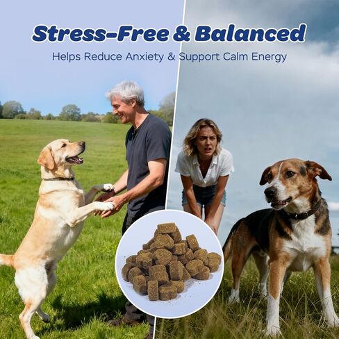 Calming Chews for Dogs – Relaxation & Stress Support with Chamomile, Valerian Root, L-Theanine, Passionflower & Ashwagandha – Calming Support with Glucosamine, Chicken Flavor, 120 Count in Kuwait