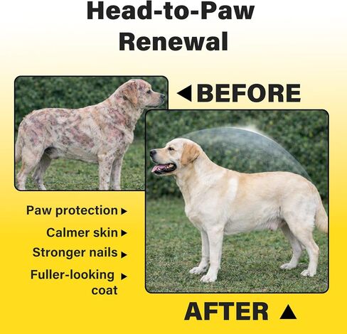 Melatonin for Dogs – Hair Growth & Skin Comfort – Calm Nights, biotin for Dogs Nails, Dog Skin Irritation Support – Biotin & Omega-3 – USA-Made, Vet-Formulated – 6.35 oz Powder in Kuwait