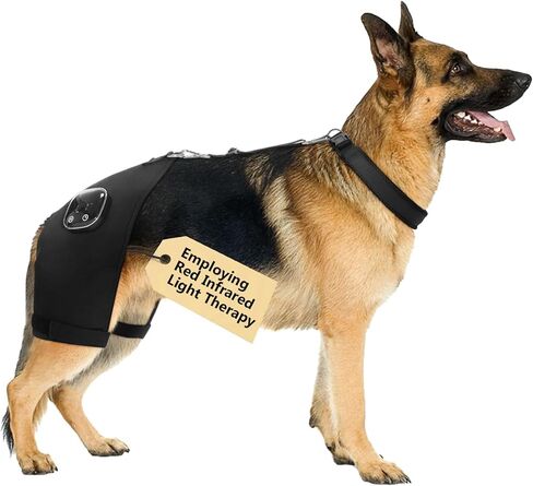 Dog Hip Brace with Red Infrared Light Therapy – Pain Relief for Arthritis, Hip Dysplasia, Spine Issues & Muscle Recovery, Portable & Cordless, Patent Pending(Female Dog, XXL) in Saudi Arabia