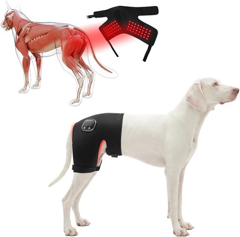 Dog Hip Brace with Red Infrared Light Therapy – Pain Relief for Arthritis, Hip Dysplasia, Spine Issues & Muscle Recovery, Portable & Cordless, Patent Pending(Female Dog, XXL) in Saudi Arabia