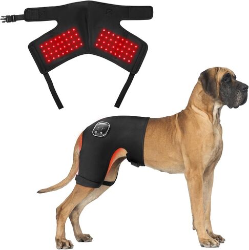 Dog Hip Brace with Red Infrared Light Therapy – Pain Relief for Arthritis, Hip Dysplasia, Spine Issues & Muscle Recovery, Portable & Cordless, Patent Pending(Female Dog, XXL) in Saudi Arabia