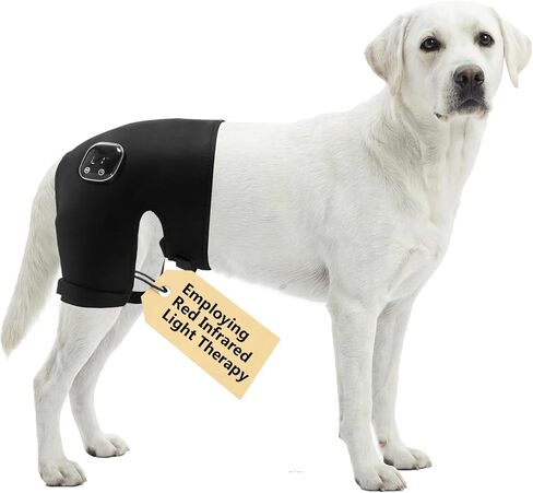 Dog Hip Brace with Red Infrared Light Therapy – Pain Relief for Arthritis, Hip Dysplasia, Spine Issues & Muscle Recovery, Portable & Cordless, Patent Pending(Female Dog, XXL) in Saudi Arabia