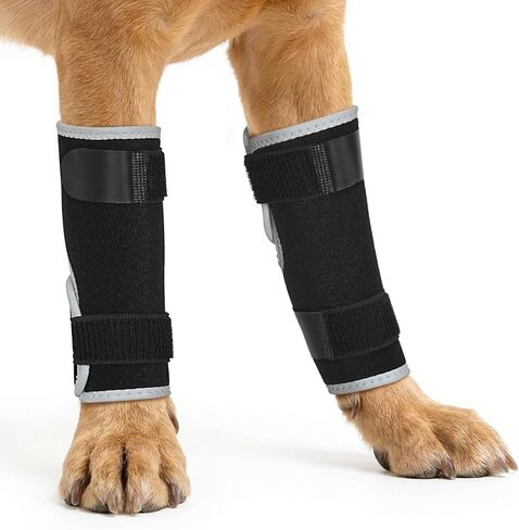 Dog Front Leg Brace- 2PCS Compression Wrap with Adjustable Straps- Dog Wrist Brace for Support Aid in Wound Care and Recovery,XL in Kuwait