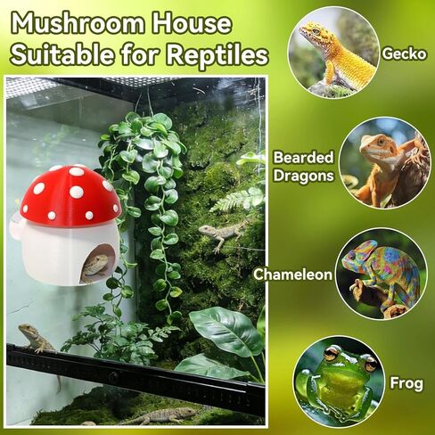 3D Red Mushroom House Reptile Hides and Caves, Reptile Hideout Shelter for Geckos Bearded Dragons Chameleons Frogs with Dual Suction Cups for Wall or Ground in Kuwait