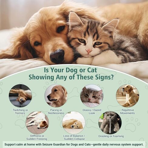 Seizure Guardian for Dogs and Cats – Helps Manage Seizure Symptoms, Helps Calm the Nervous System & Ease Twitching/Restlessness, Natural Herbal Formula with Passionflower & Ashwagandha & More, 2 Fl Oz in Kuwait