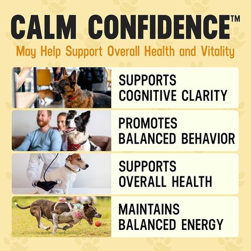 Better Dog Supplements Calm Confidence by Cesar Millan Natural Brain Support & Dog Cognitive Supplement – Energy, Vitality & Focus Supplement with Ashwagandha & Other Herbs – 4oz (60-Day Supply) in Kuwait