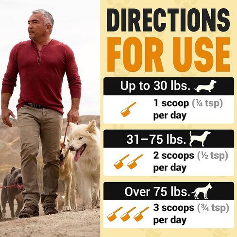 Better Dog Supplements Calm Confidence by Cesar Millan Natural Brain Support & Dog Cognitive Supplement – Energy, Vitality & Focus Supplement with Ashwagandha & Other Herbs – 4oz (60-Day Supply) in Kuwait