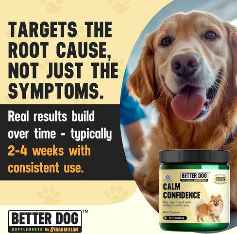 Better Dog Supplements Calm Confidence by Cesar Millan Natural Brain Support & Dog Cognitive Supplement – Energy, Vitality & Focus Supplement with Ashwagandha & Other Herbs – 4oz (60-Day Supply) in Kuwait