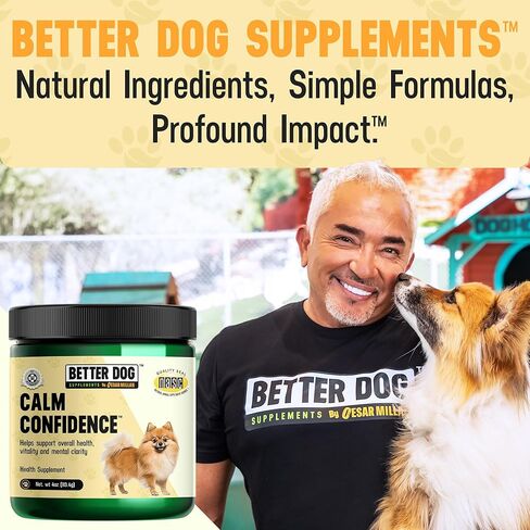 Better Dog Supplements Calm Confidence by Cesar Millan Natural Brain Support & Dog Cognitive Supplement – Energy, Vitality & Focus Supplement with Ashwagandha & Other Herbs – 4oz (60-Day Supply) in Kuwait