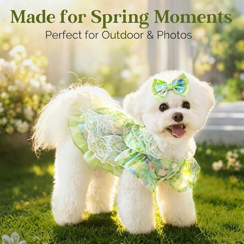 Spring Dog Dress, Floral Princess Dog Dress, Multi-Layer Ruffle Skirt with Soft Mesh & Lace Fabric, Girl Dog Clothes for Holiday, Birthday, Wedding, Party, Photoshoot (L) in Kuwait
