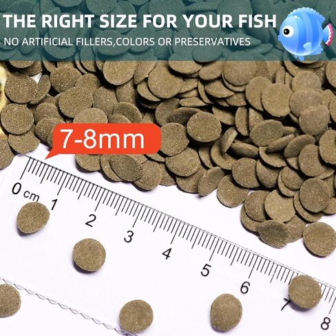 Aquarium Fish Food, Nutritionally Balanced Shrimp Fish Food, Daily Diet for All Bottom Feeders, Fresh Seafood Formula, 1.76 Ounces in Kuwait