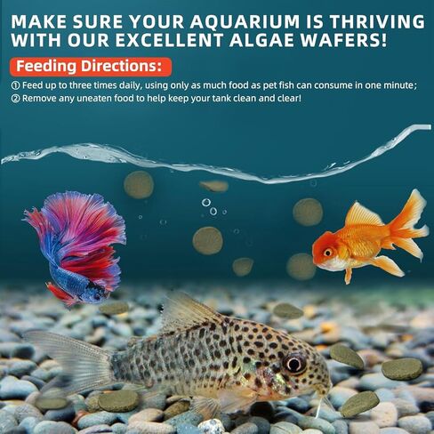 Aquarium Fish Food, Nutritionally Balanced Shrimp Fish Food, Daily Diet for All Bottom Feeders, Fresh Seafood Formula, 1.76 Ounces in Kuwait