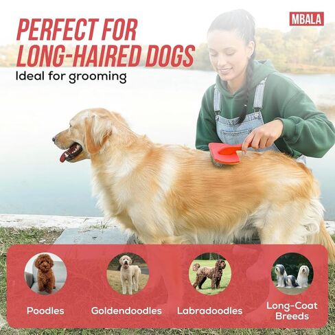 فرشاة Dog Slicker لرسومات الشعار المبتكرة و Goldendoodles و Labradoodles - فرشاة دبوس طويلة جدًا لإزالة التشابك والتخلص من التشابك - تزيل التشابك والعقد والشعر السائب - مقبض خشبي للمعاطف السميكة والمجعد (كبيرة) in Kuwait