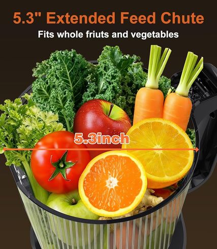 Juicer Machines, 5.3" Large Feed Chute Cold Press Juicer with Double Press Technology, 400W Motor, High Juice Yield, Easy to Clean, Masticating Juicer for Whole Vegetables & Fruits, Dark Black in Kuwait