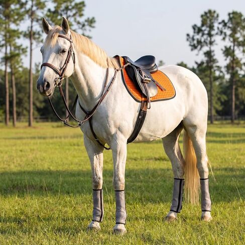 Fly Boots for Horses Set of Four Adjustable Loose Fitting Leggings for Horses Breathable Plastic Mesh Leg Protection, Reduce Stressful Stomping and Fatigue in Kuwait