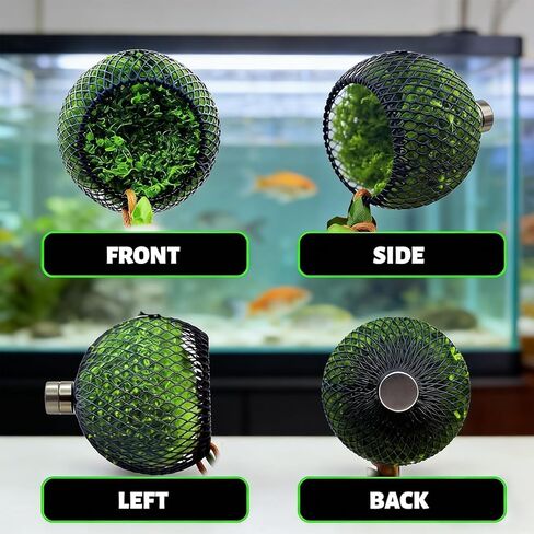 2PCS Jumping Spider Enclosure Accessories, Jumping Spider Accessories with Magnet, Jumping Spider Hide, Vertical Climbing Routes with Molting Spaces, for Tarantulas, Reptile Hides and Caves Decor in Kuwait