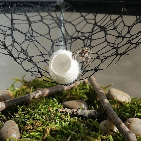 DQITJ 2 Pack Jumping Spider Netting Enclosure Large Size Climbing Webs with Magnets Silk Cocoons Nest for Tarantula Mantis Spoods invertebrates (Black, 9.8 x 177 inches) in Kuwait