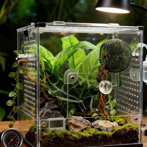 Jumping Spider Hide – Magnetic Jumping Spider Habitat Handmade Fence Accessory Magnetic Hidden Jumping Tarantulas, Reptile Hides and Caves Decorr in Kuwait