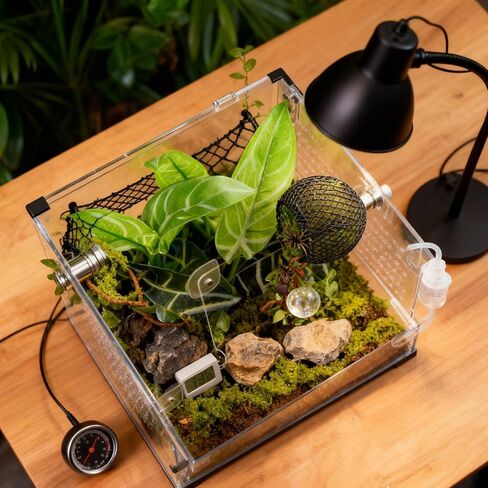 Jumping Spider Hide – Magnetic Jumping Spider Habitat Handmade Fence Accessory Magnetic Hidden Jumping Tarantulas, Reptile Hides and Caves Decorr in Kuwait