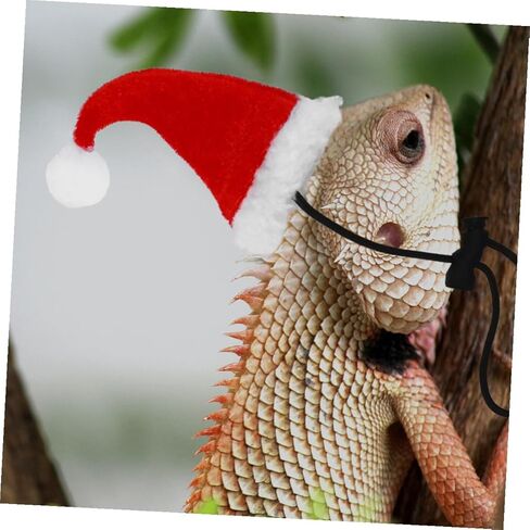 Bearded Dragon Lizard Harness Leash Set with Christmas Hat and Scarf, Small Animal Traction Rope for Outdoor Walking and Escape Prevention, Reptile Pet Leash for Bearded Dragons in Kuwait