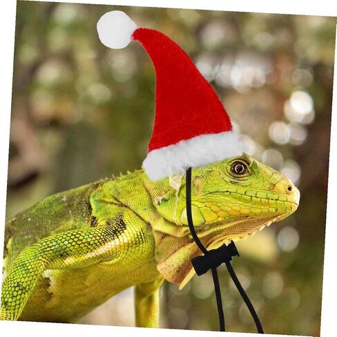 Adjustable Reptile Lizard Leash and Harness Set with Hat and Scarf, Small Bearded Dragon and Gecko Traction Rope for Outdoor Use, Holiday Pet Costume Accessory in Kuwait