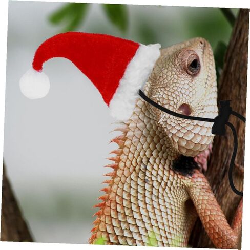 Adjustable Reptile Lizard Leash and Harness Set with Hat and Scarf, Small Bearded Dragon and Gecko Traction Rope for Outdoor Use, Holiday Pet Costume Accessory in Kuwait