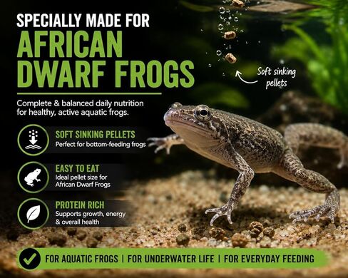 African Dwarf Frog Food – High Protein Sinking Pellets for Aquatic Frogs – Natural Insect-Based Diet – BugGraze 3oz in Kuwait