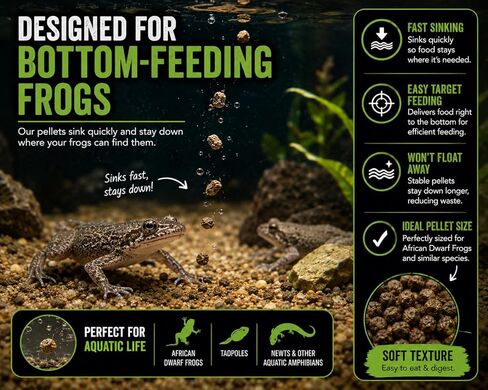 African Dwarf Frog Food – High Protein Sinking Pellets for Aquatic Frogs – Natural Insect-Based Diet – BugGraze 3oz in Kuwait