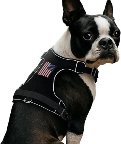 صدرية PawPatch Track للكلاب، مقاس متوسط ​​- سترة للحيوانات الأليفة قابلة للتعديل، قابلة للسحب، مبطنة ناعمة قابلة للتنفس مع مشبكين للمقود، عاكسة، تصميم سهل التشغيل/الإيقاف مع مقبض تحكم للمشي والتدريب والمشي لمسافات طويلة in Kuwait