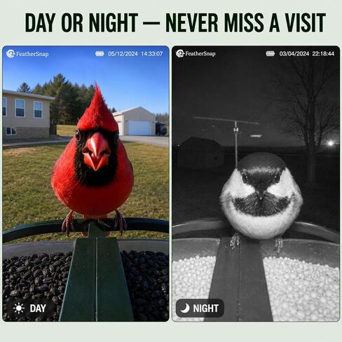 Feathersnap Smart Birdfeeder with AI Identification and Wi-Fi Solar Powered, Captures HD Pictures and Videos Sent Directly to Your Phone (Bird Feeder, Pole, & Starter Kit) in Kuwait