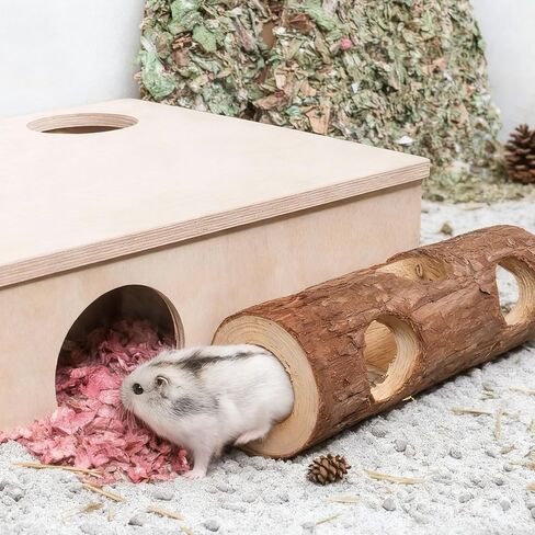 Natural Wooden Hamster Mouse Tunnel Tube Toy Forest Hollow Tree Trunk for Gerbils，Hamsters, and Mice or Other Small-Sized Pets (Double Hole) in Kuwait