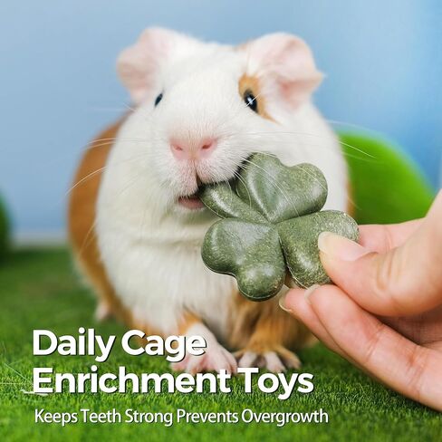 TEEWY Hamster Toys, Guinea Pig Chew Toys with Natural Timothy Hay for Guinea Pigs, Chinchillas, Hamsters, Gerbils and Other Small Pets, Teeth Grinding Toys, 8PCS，Clover-Shaped in Kuwait