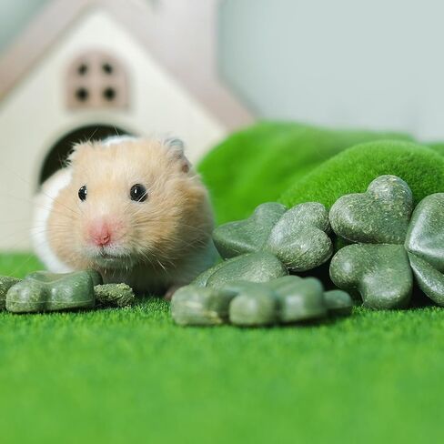 TEEWY Hamster Toys, Guinea Pig Chew Toys with Natural Timothy Hay for Guinea Pigs, Chinchillas, Hamsters, Gerbils and Other Small Pets, Teeth Grinding Toys, 8PCS，Clover-Shaped in Kuwait