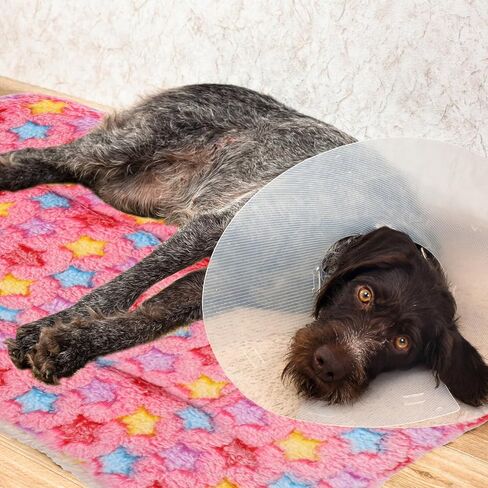 Ibasenice عش الحيوانات الأليفة وسادة سميكة الدافئة وسادة الكلب الوردي نمط م حجم بطانية صوفية الشتاء حصيرة للقطط والكلاب استخدام داخلي in Kuwait