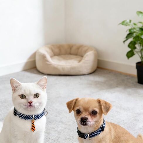 4 Pcs Classic Stripes Kitten Collars Cute Breakaway Cat Collar Adjustable Cotton Cat Kitten Collar with tie Accessories with Small Neckties for Girl Boy Cats Classic Cotton Stripe in Kuwait