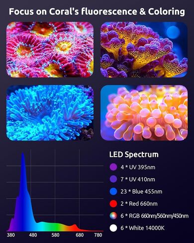 SEAOURA LED Reef Light for Corals, 120W Coral Lights for Reefs Aquarium Tanks, 395nm to 665nm Full Spectrum Programmable with 24/7 Custom Timer for Saltwater Fish Tank SPS LPS in Kuwait