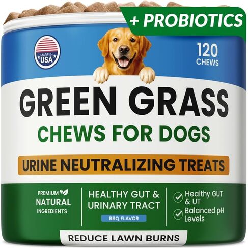 PAWFECTCHEW Coprophagia Deterrent for Dogs & Breath Aid Support - No Poo Chews for Dogs w/Probiotics, Digestive Enzymes Stop Dog Poop Eating - Stool Eating Deterrent - Made in USA in Kuwait