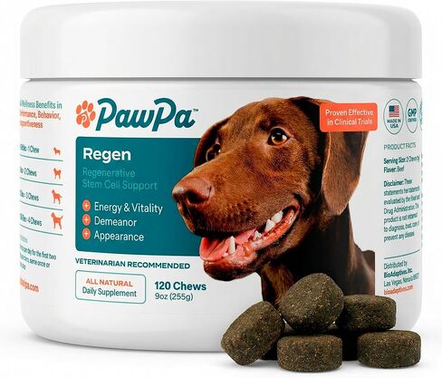 PawPa Regen، 120 قطعة مضغ موصى بها من قبل الأطباء البيطريين، مكمل للخلايا الجذعية المتجددة للكلاب الكبيرة، يدعم الحركة، والمظهر، واليقظة، والورك والمفاصل، ومضغ بنكهة لحم البقر اللذيذ in Kuwait