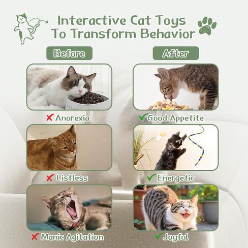 Cat Toys 40 Pack - Interactive Variety Set for Cats & Kittens with Cat Wand Toys, Feather Toys, Crinkle Balls, Springs & Silvervine Sticks to Reduce Anxiety & Destructive Behaviour in Kuwait