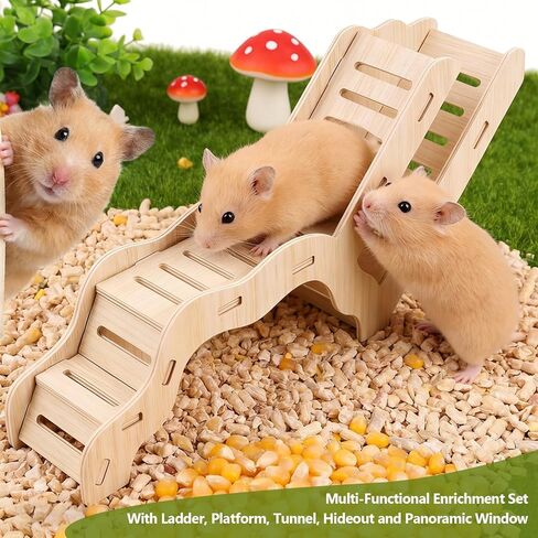 Small Size Wooden Hamster Explorer Set, Hamster Climbing Toys with Ladder, Platform, Tunnel, Hideout and Panoramic Window, Snap-Together Cage Accessories for Dwarf Hamsters Cage Enrichment in Kuwait
