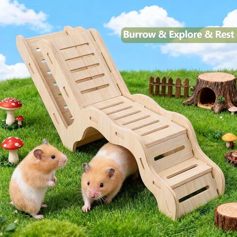 Small Size Wooden Hamster Explorer Set, Hamster Climbing Toys with Ladder, Platform, Tunnel, Hideout and Panoramic Window, Snap-Together Cage Accessories for Dwarf Hamsters Cage Enrichment in Kuwait