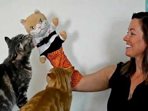Cat Karate Kitty Wrestling Puppet with Protective Forearm Sleeve, Cat Hand Boxing Biting Puppet for Play Karate Kitten Toy Interactive with Arm Sleeve in Kuwait