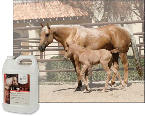 جل UltraCruz® لفك تشابك الخيول، 1 جالون in Kuwait
