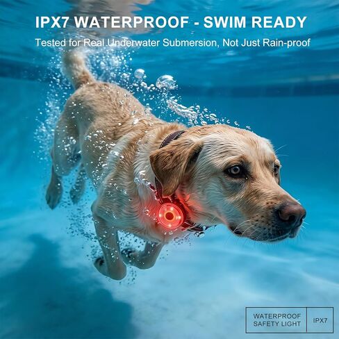 Pro Dog Light IPX7 مقاوم للماء، USB-C قابل لإعادة الشحن 4 ألوان ثابتة/وامضة طوق مضيء للكلاب، مشبك مطور مضاد للسقوط وحزام أضواء طوق الكلب للمشي ليلاً والسباحة والتخييم in Kuwait