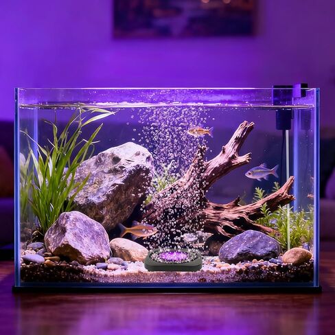 ضوء ديكور لخزان الأسماك الغاطس: أضواء LED لفقاعة حوض السمك - IP68 تطبيق مقاوم للماء للتحكم عن بعد 5050 RGB لون متغير لحوض السمك مصباح فقاعي لعشاق الأسماك والحيوانات الأليفة المائية in Kuwait